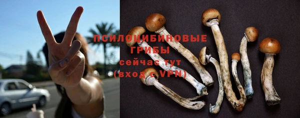 spice Алексеевка