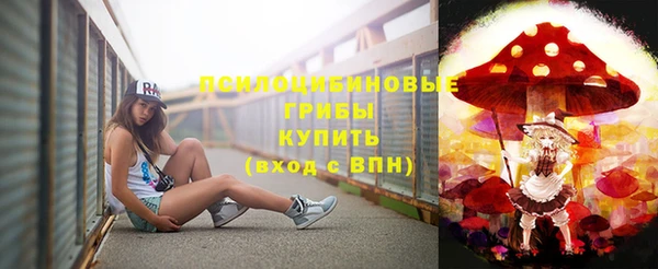 spice Алексеевка