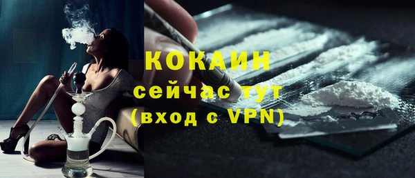 кокс Алексин