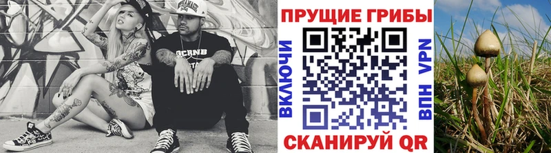 Галлюциногенные грибы GOLDEN TEACHER  KRAKEN рабочий сайт  Калач-на-Дону  закладки 