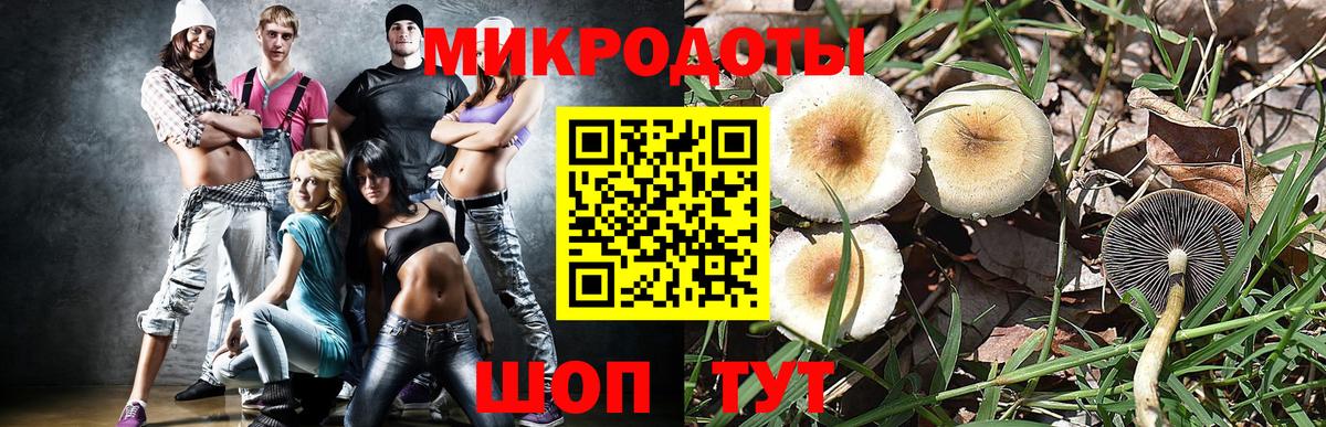 Псилоцибиновые грибы мицелий Калач-на-Дону