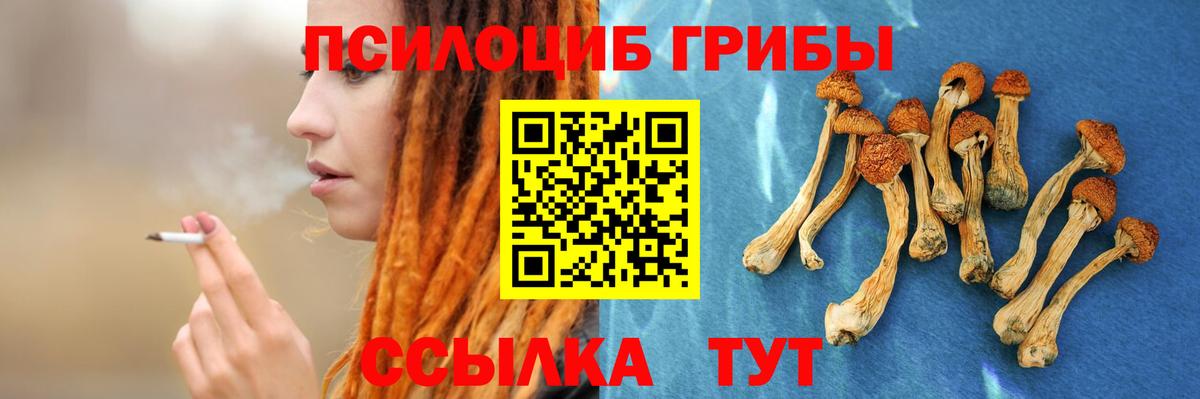 Галлюциногенные грибы Cubensis  Псилоцибиновые грибы ЛСД  Калач-на-Дону  Вход с VPN 